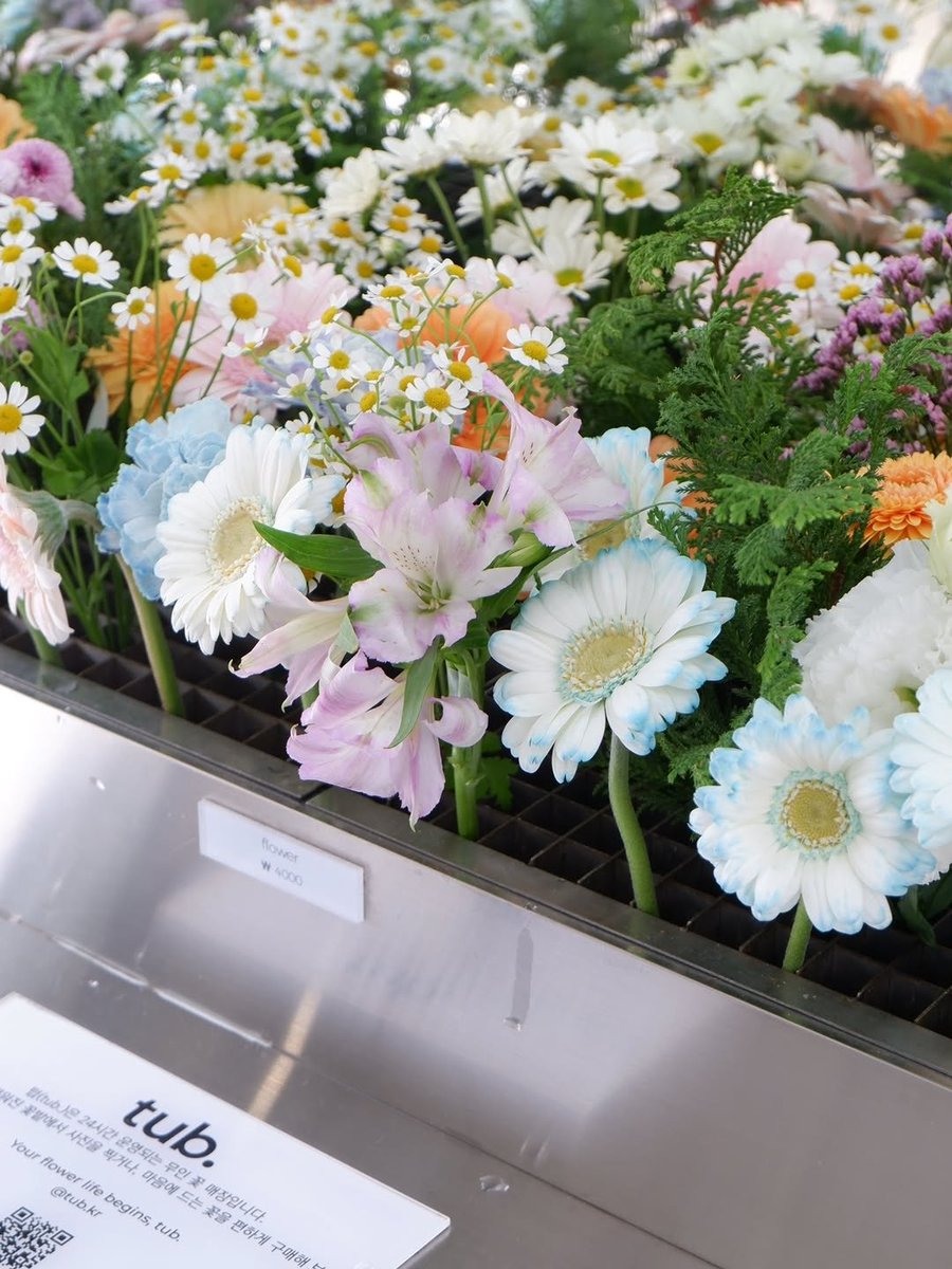 린이°ᵏʲʰ tweet media