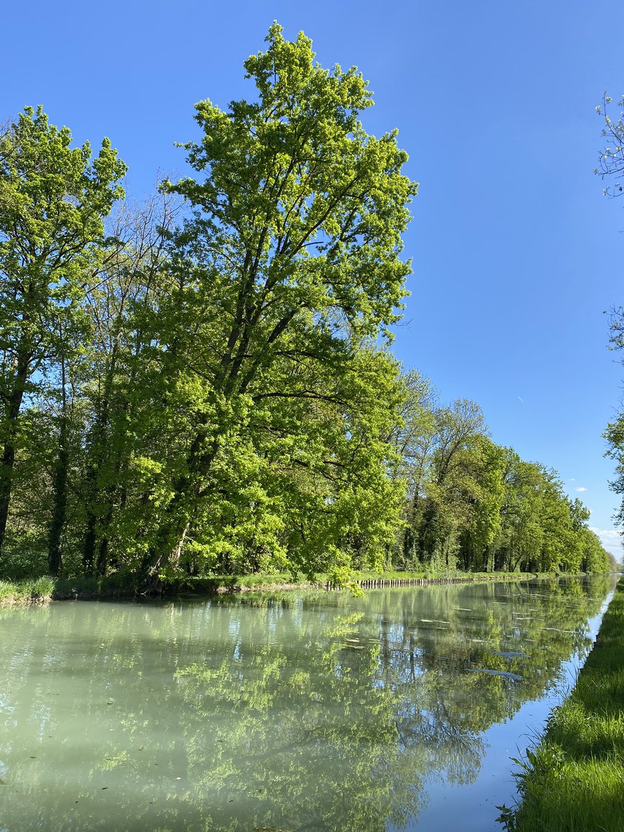 G27Marco's tweet image. O canal suspend ton flux #seine #aube #printemps
