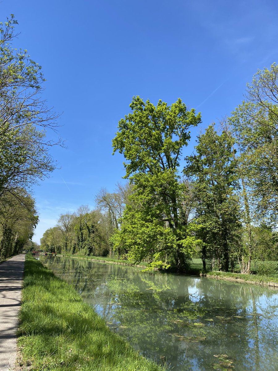 G27Marco's tweet image. O canal suspend ton flux #seine #aube #printemps