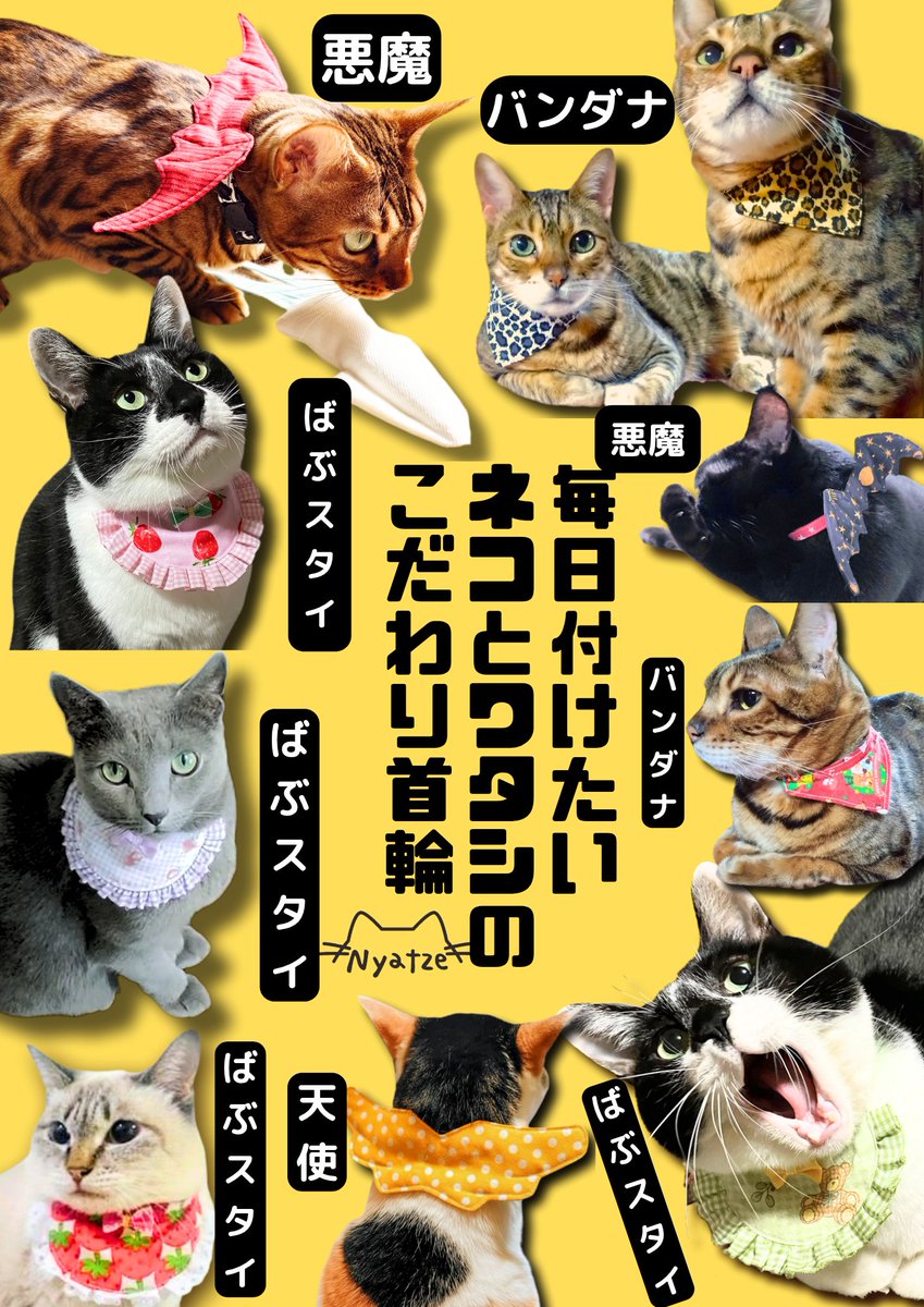 Nyatze(にゃっつぇ)【公式】 tweet media