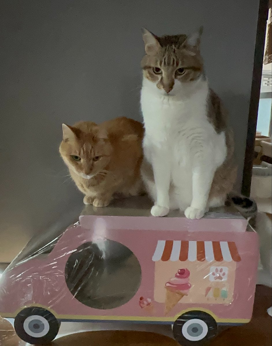 もるきち tweet media