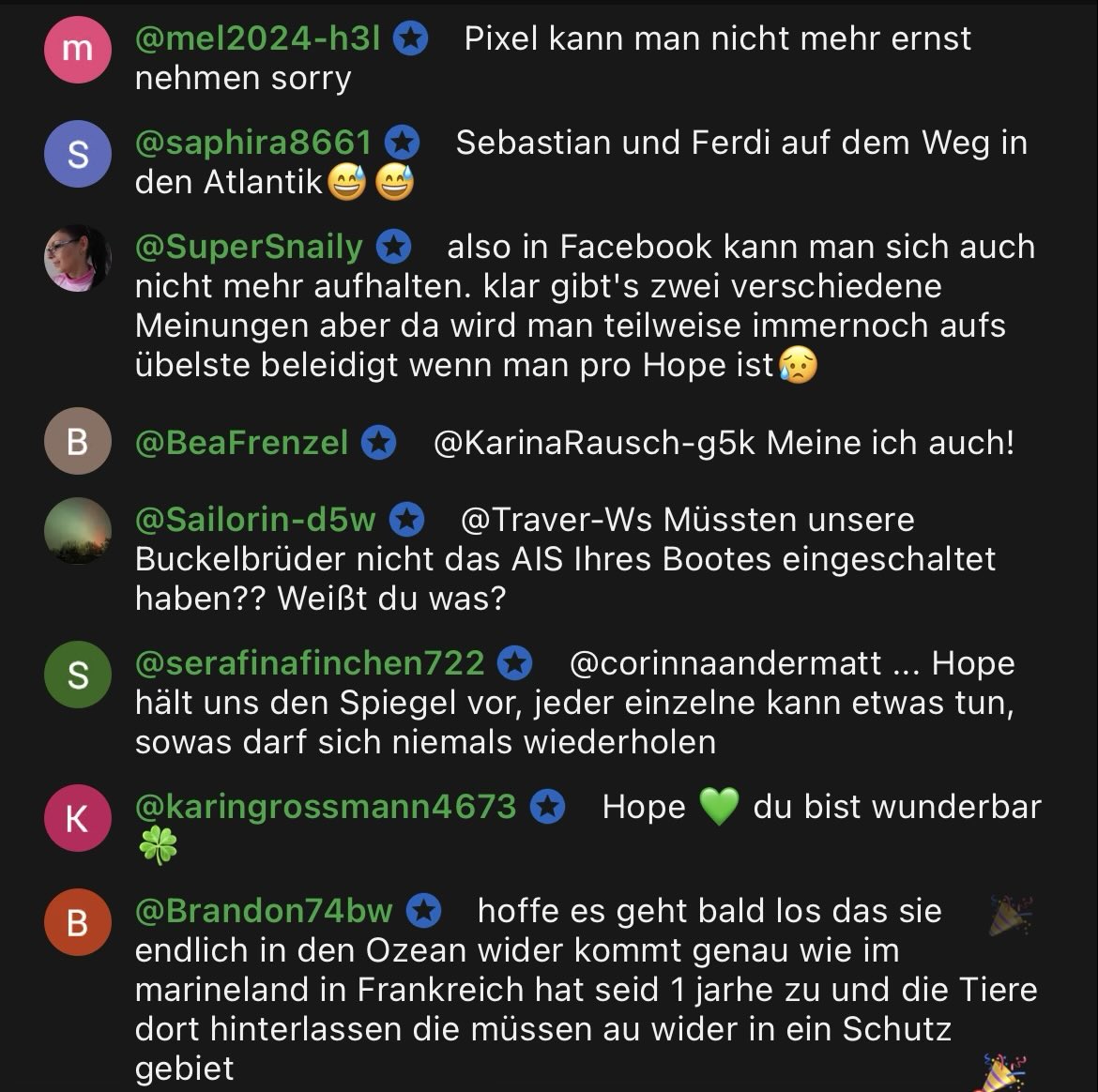 pütze dutch steiss salvatore tweet media