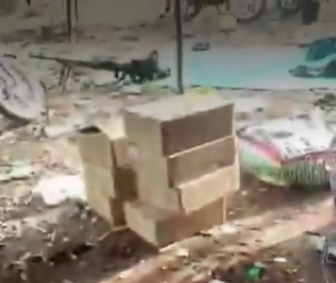 Lymph Lmp tweet media