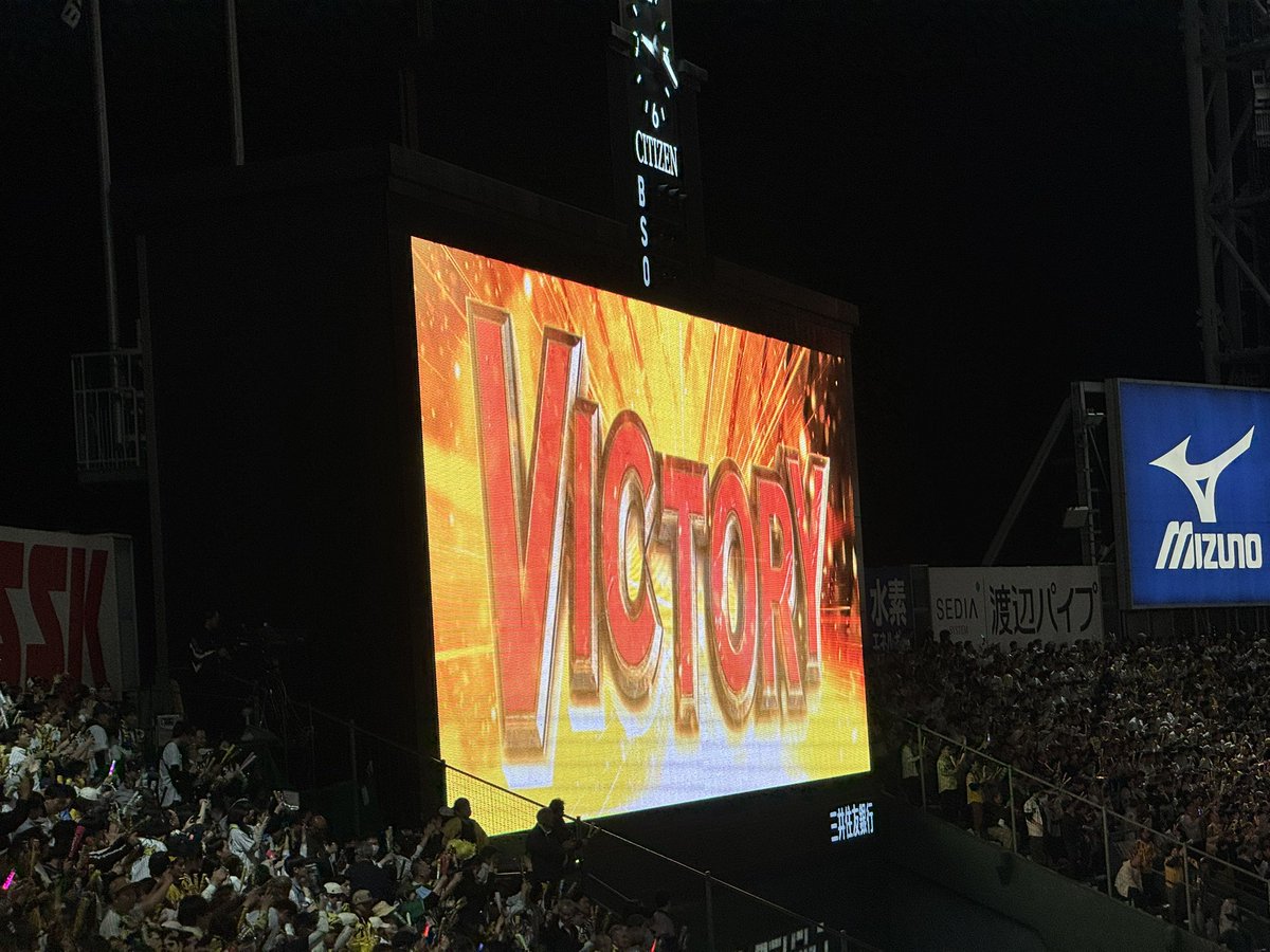 ねこ7号 tweet media