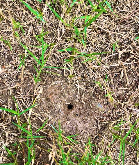 Luca Mtakatifu tweet media