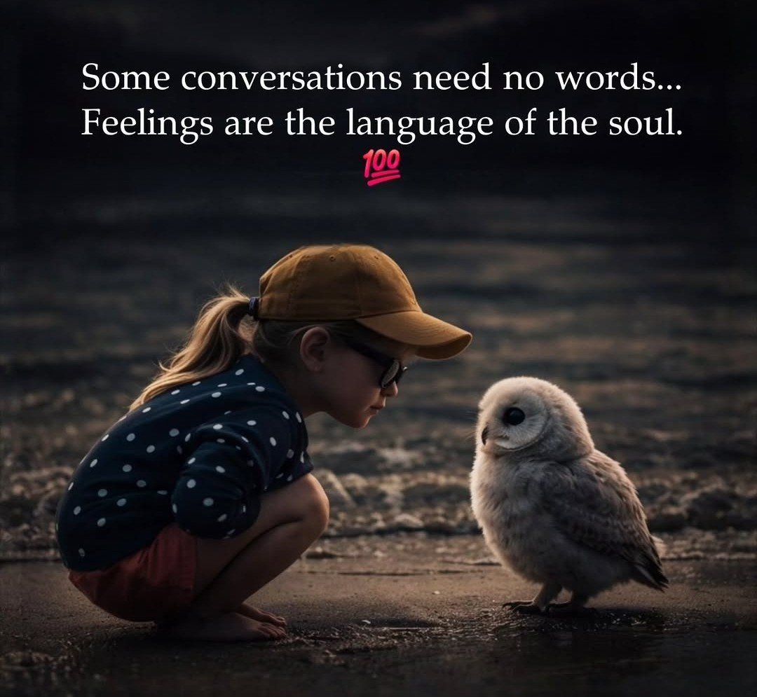 bronz_O_Genius's tweet image. Good evening ☕😊
#feelings 💞