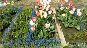 サンドイッチの年 tweet media