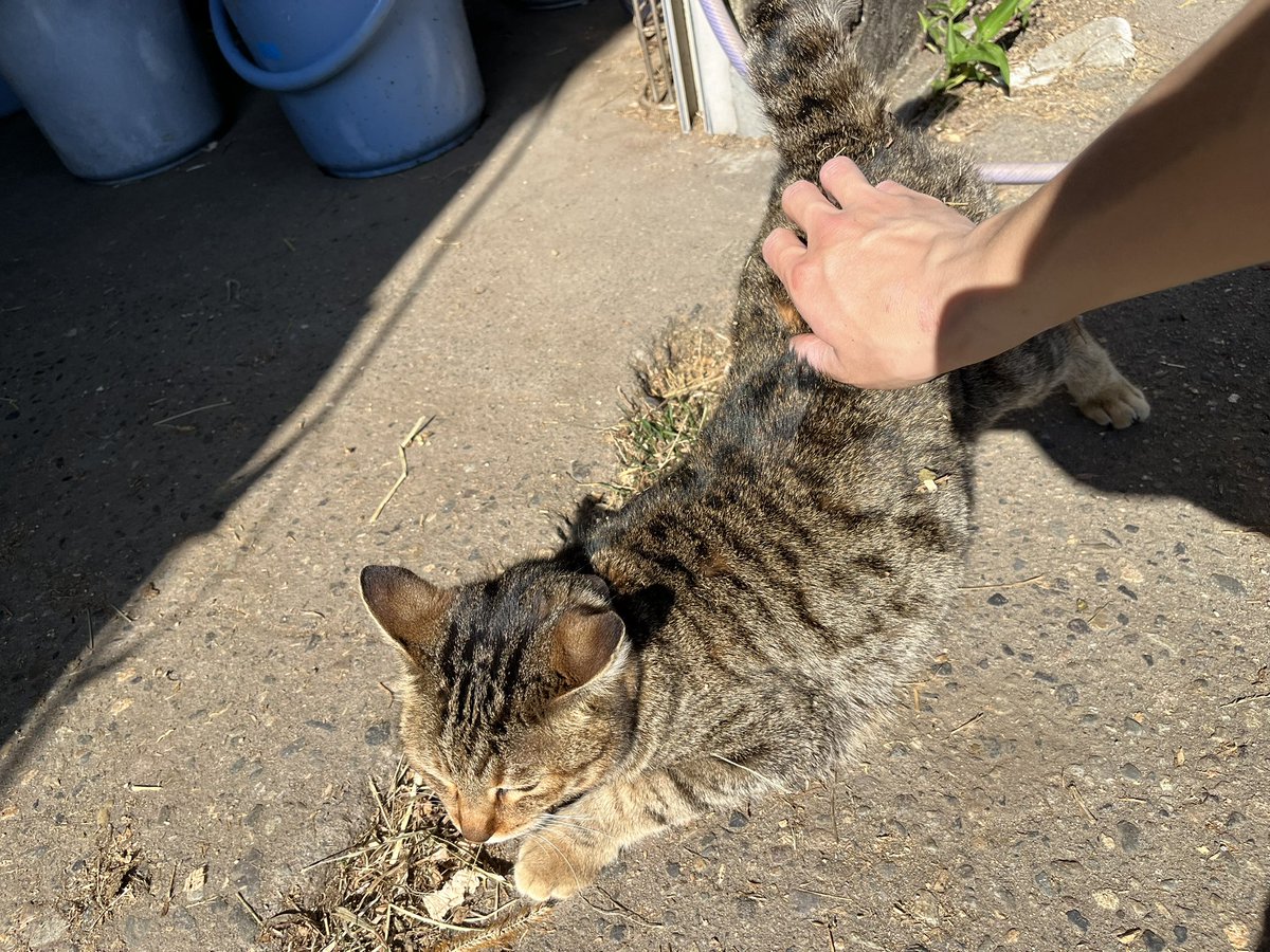 宇都宮大学馬術部 tweet media