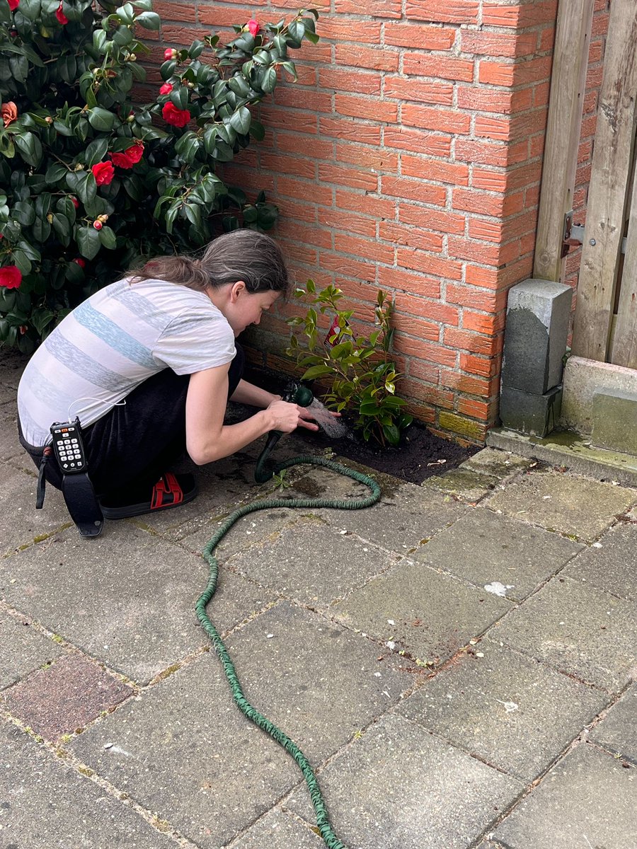 ShassDoesStuff's tweet image. Today's #LARP: Gardener!
Early birthday-gifts from @vlysia03 (thank you, mam! 💜💜💜) needed planting and some watering. Work work work! I know exactly what I'm doing, of course. 😹
#Yardwork #Plants #Camellia #AppleGeranium