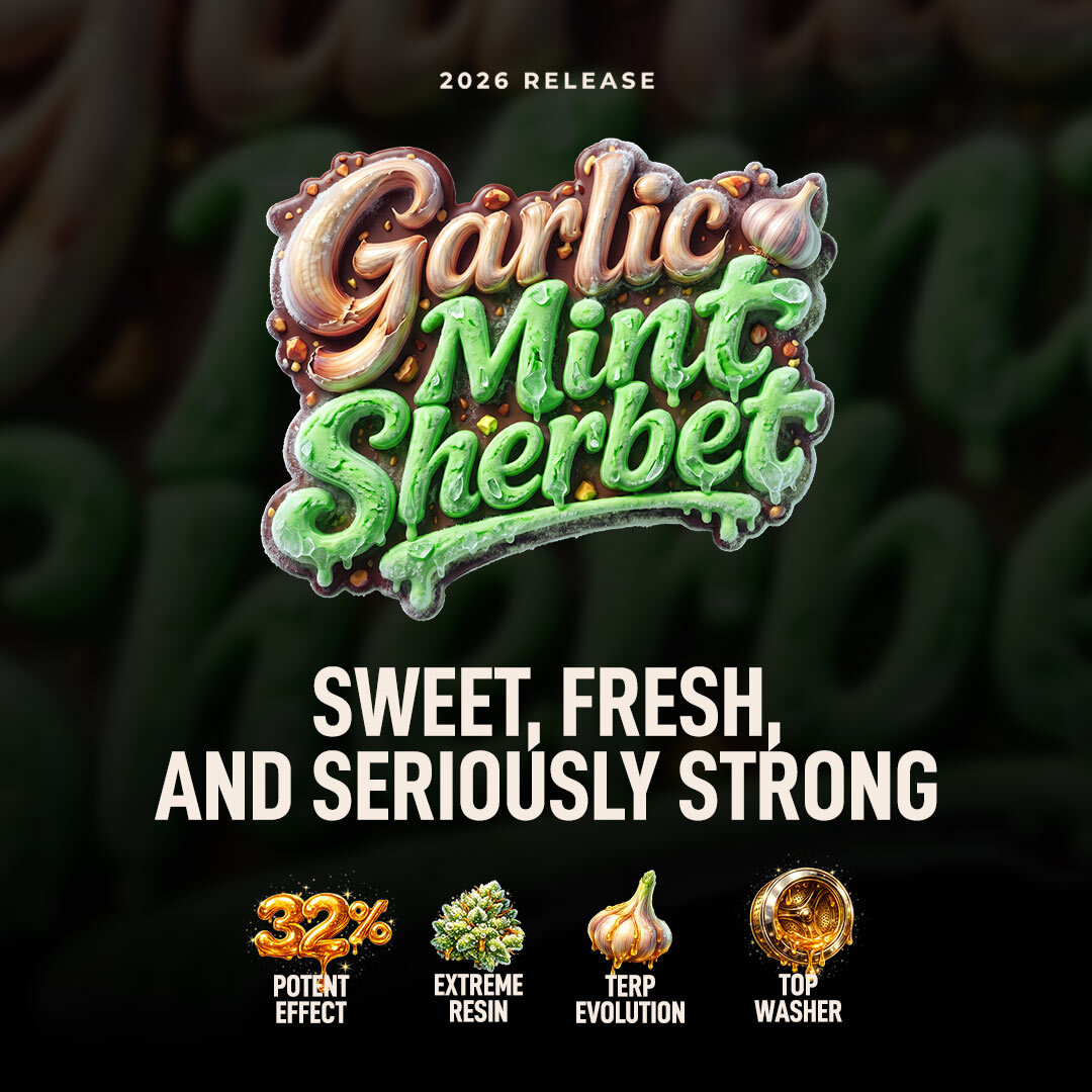 Fast Buds tweet media