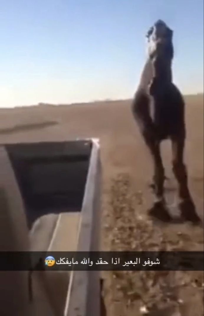 ʙᴀᴍʙɪ ⁶¹⁴ tweet media