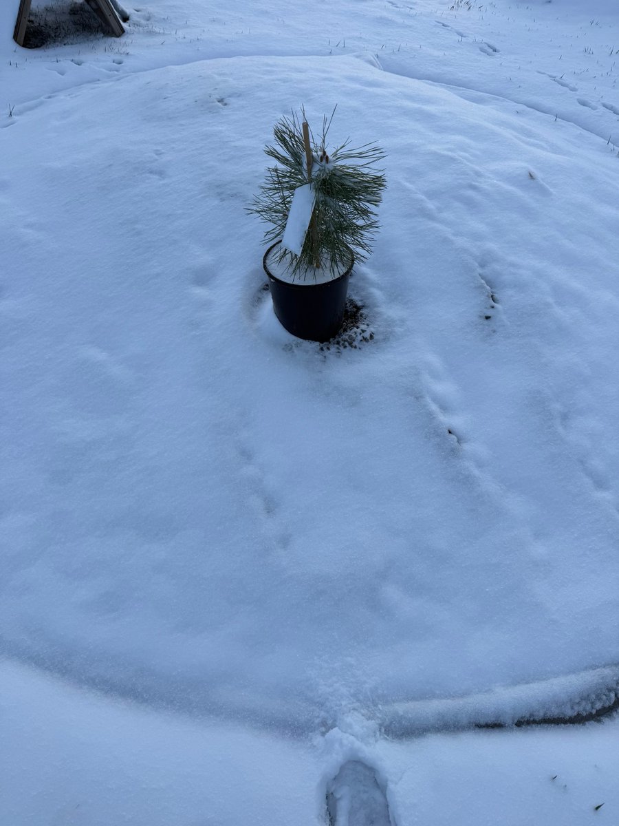 KC NoDak Brim 🇺🇸 tweet media