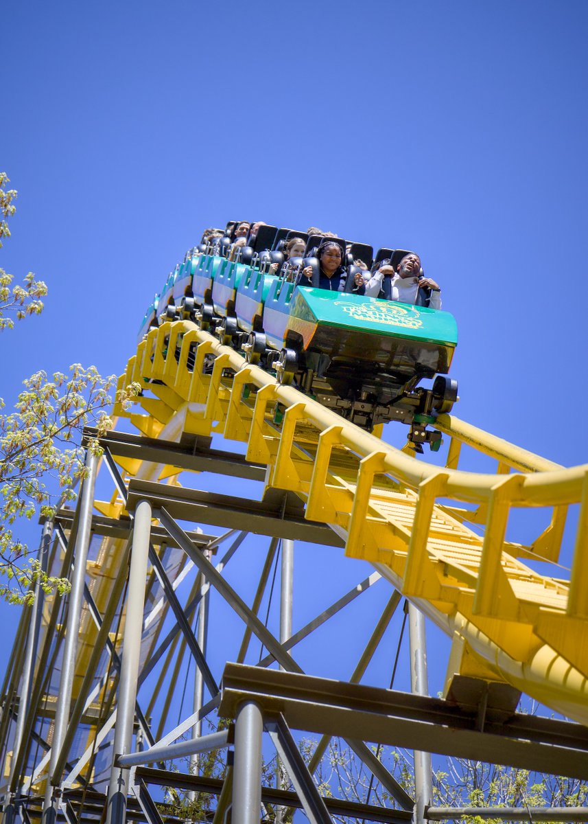 Themetography tweet media