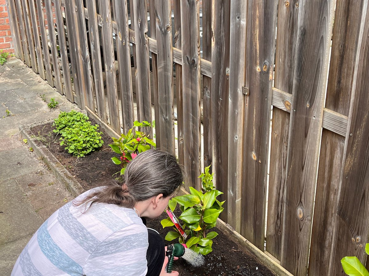 ShassDoesStuff's tweet image. Today's #LARP: Gardener!
Early birthday-gifts from @vlysia03 (thank you, mam! 💜💜💜) needed planting and some watering. Work work work! I know exactly what I'm doing, of course. 😹
#Yardwork #Plants #Camellia #AppleGeranium