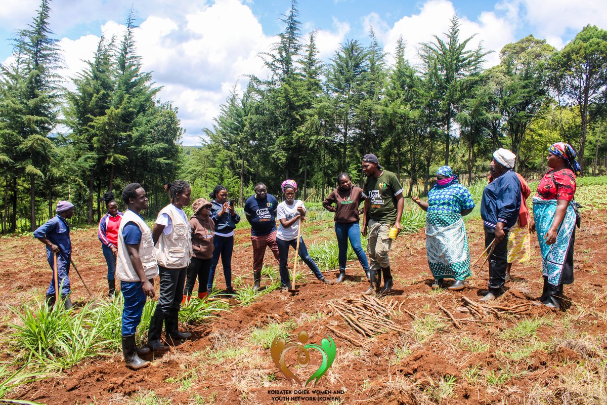 Langs030's tweet photo. This week we officially launched a new demo farm as part of our Forest to Farm Project, thanks to the generous partnership of JAC Trust.

For us Ogiek people,land is sacred it is our history and our future. https://t.co/YmjxJfTbA5