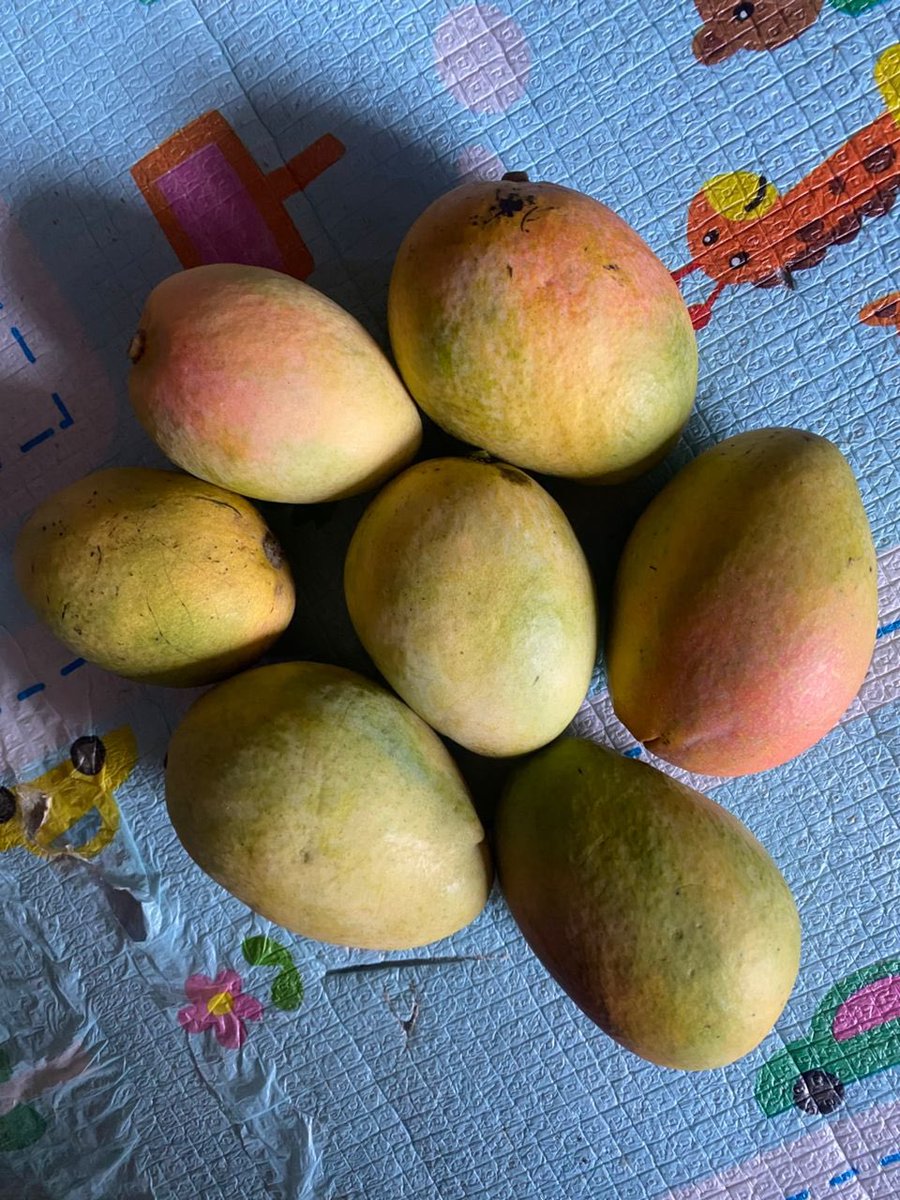 Farmer Akin Alabi® tweet media