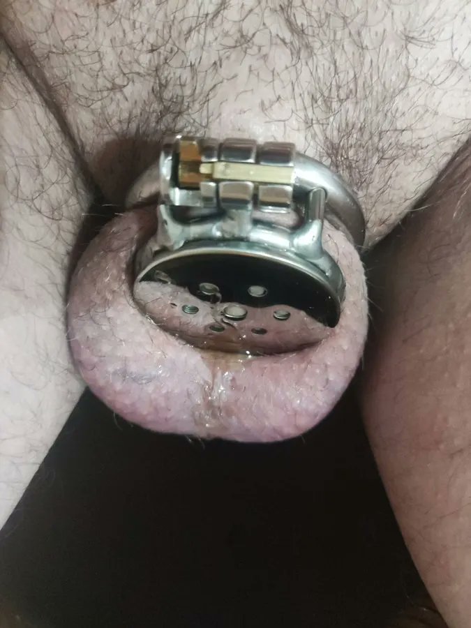 ToyPervert tweet media