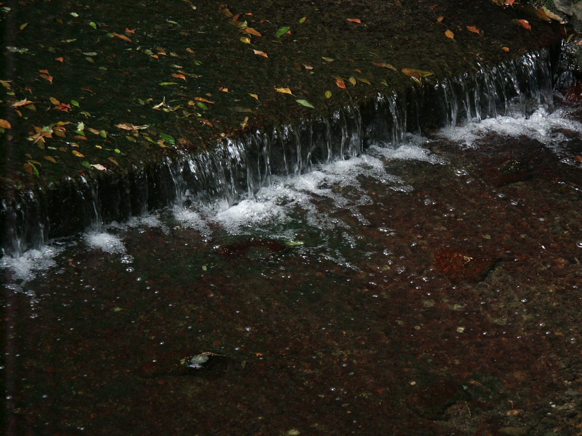 1000mi0's tweet photo. MINOLTA DiMAGE 7Hi
等々力渓谷
魚や蟹はいるのかな?。
#等々力渓谷 #世田谷区 #等々力 #MINOLTA #DiMAGE #オールドコンデジ https://t.co/0eva8T4gOk