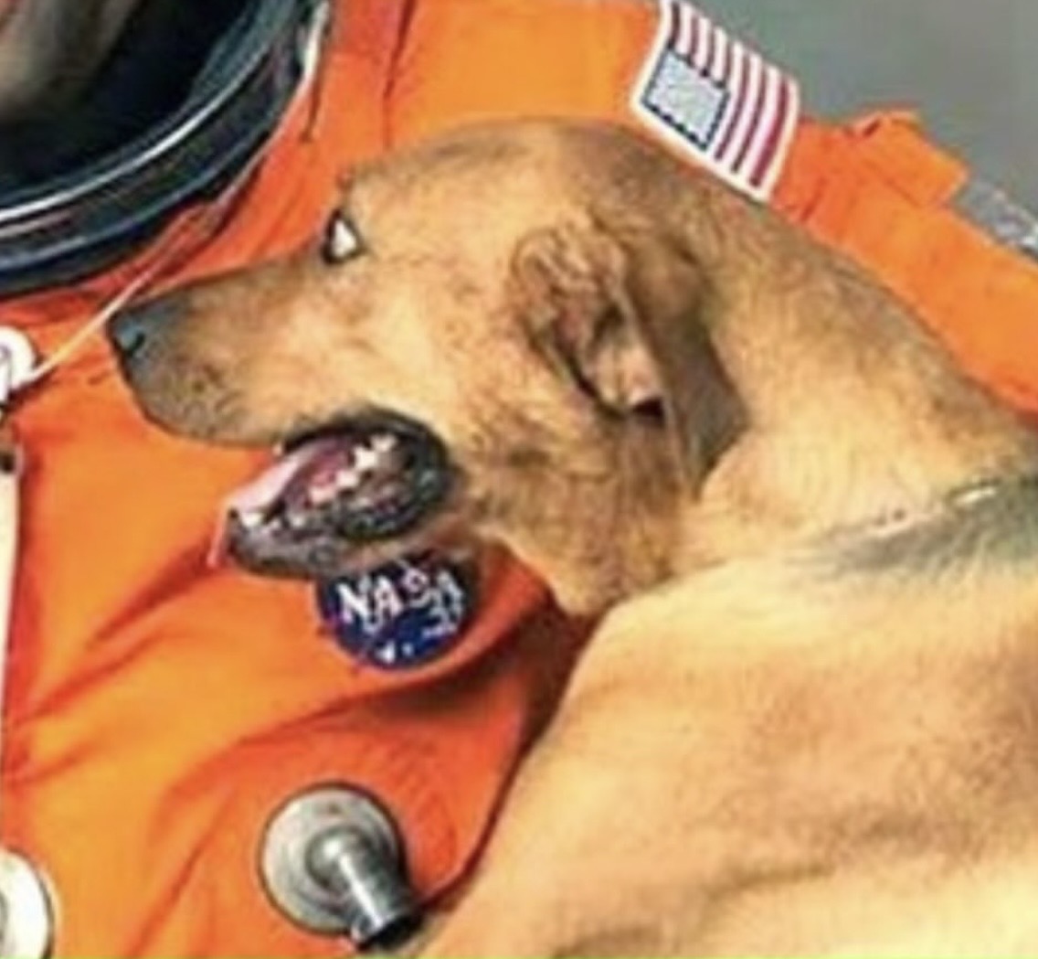 Dudes Posting Their W’s tweet media