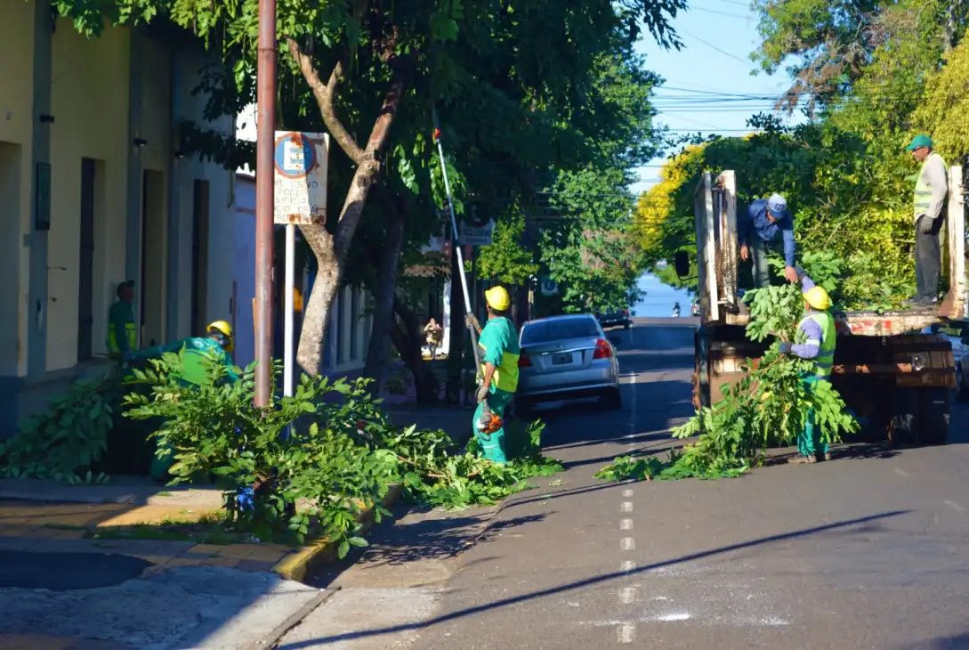 Posadas, operativo integral de poda 2026: los puntos claves y el cronograma.  

El operativo de poda en Posadas busca ordenar los espacios públicos y garantizar la seguridad de peatones y conductores. 

cadenadelsol.com.ar/?a=275332&PHPS…