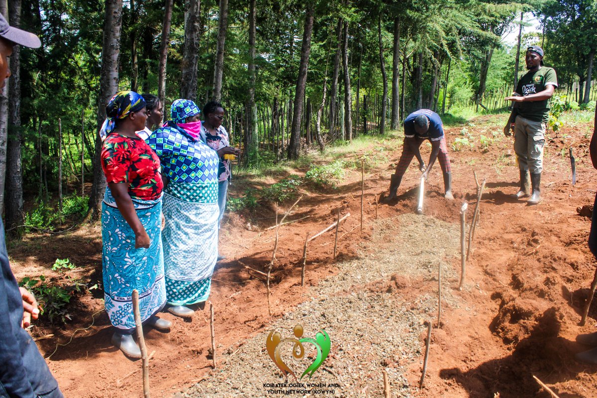 Langs030's tweet photo. These farms are living classrooms where we practice agroecology and build vibrant food forests. Blending indigenous crops with fruit trees and vegetables, we hope to restore nature’s balance and secure our food systems for the next generation. https://t.co/pJuOrTe9wF