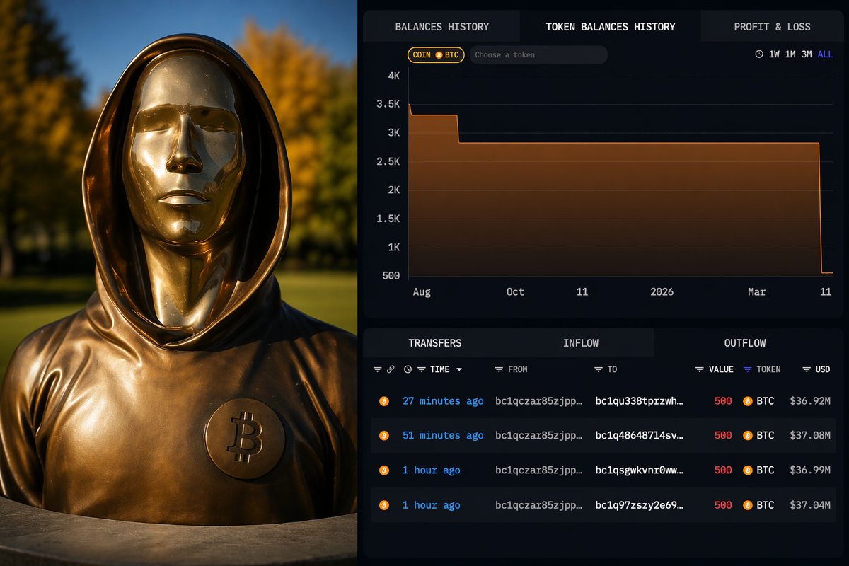 NoIllusionsX tweet media