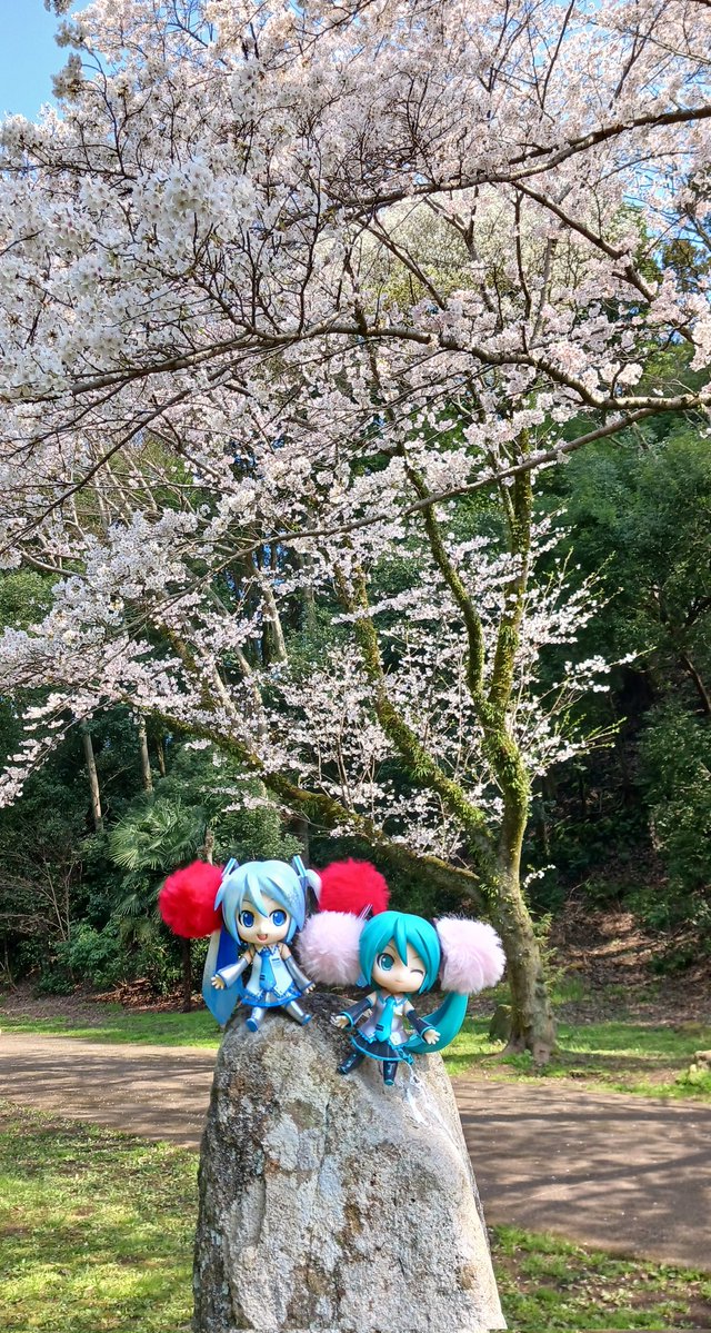 うまらんらん tweet media