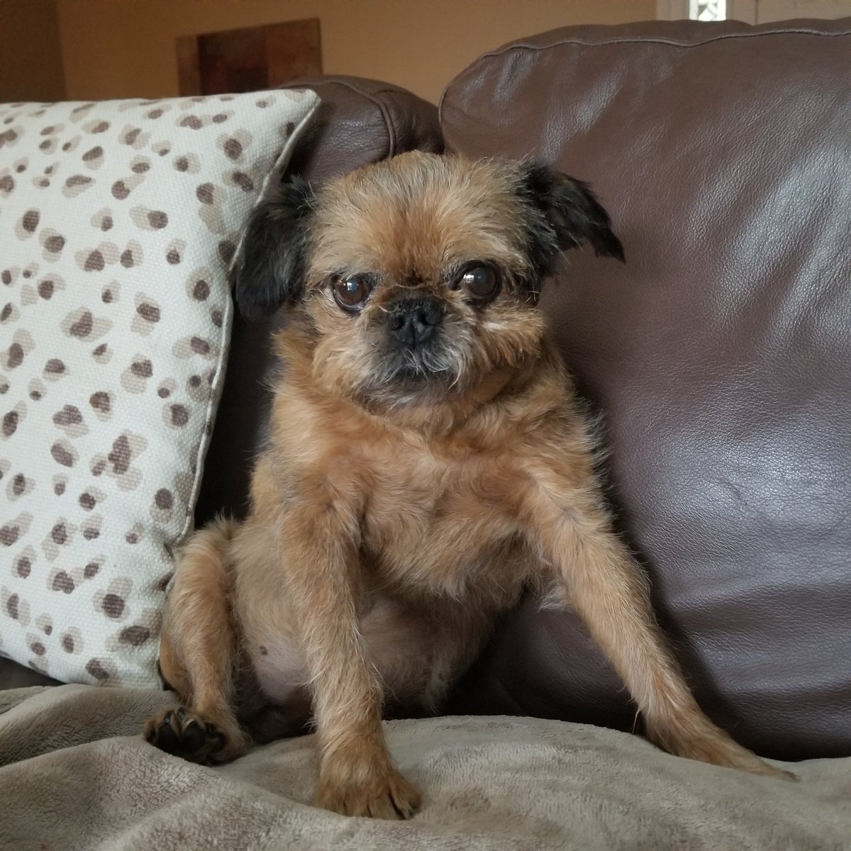 Patti Siwicki🇺🇦 tweet media