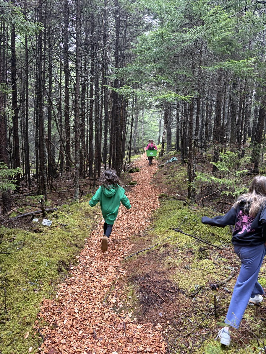 DeerIslandCS's tweet photo. The Lewis Loop Wilderness Trail is looking good! https://t.co/JgdxpqBgMr