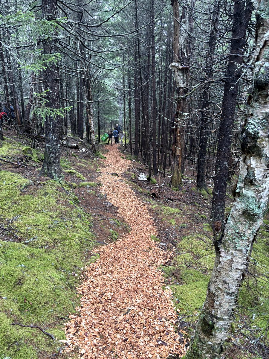 DeerIslandCS's tweet photo. The Lewis Loop Wilderness Trail is looking good! https://t.co/JgdxpqBgMr