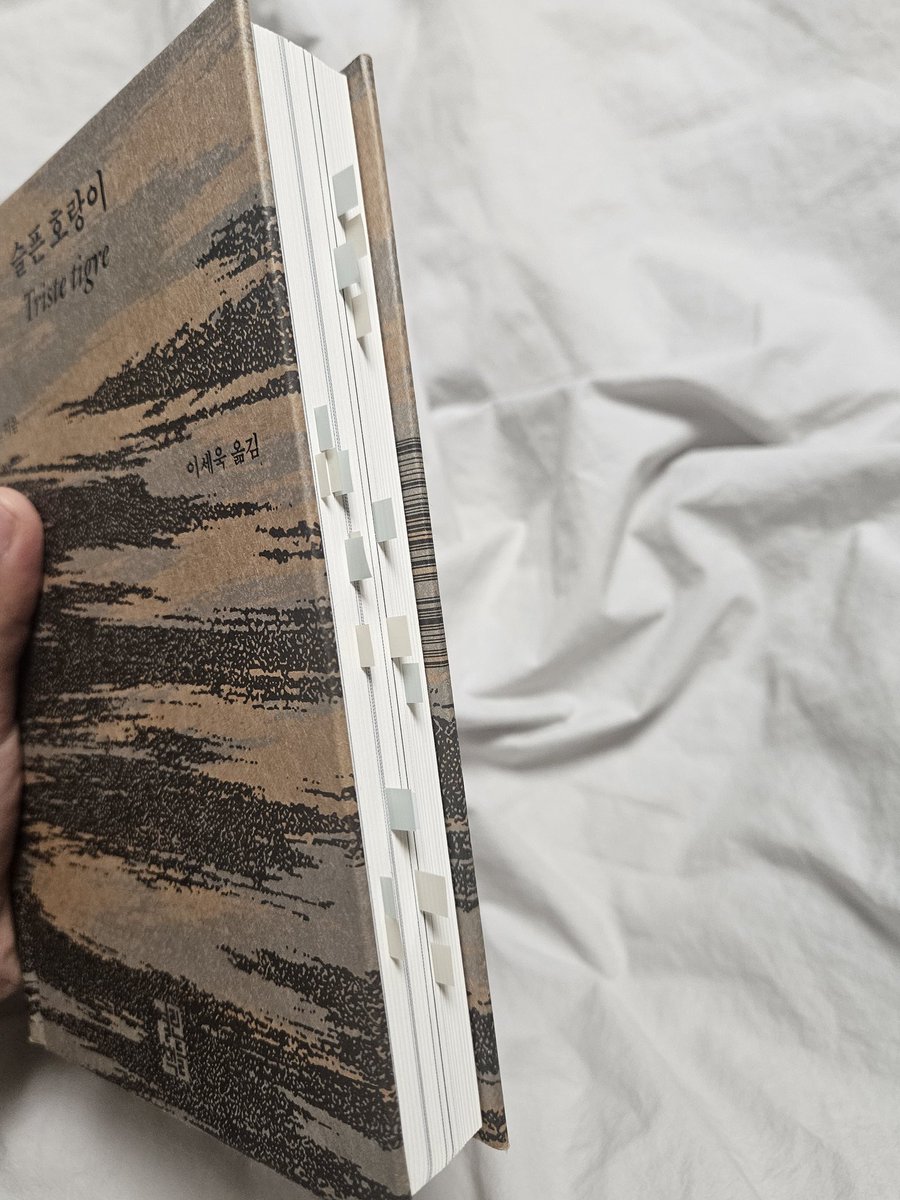 🍅채소🥕 tweet media