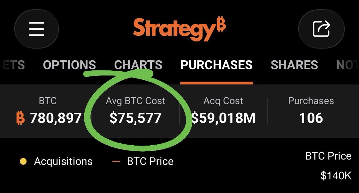 The ₿itcoin Therapist tweet media