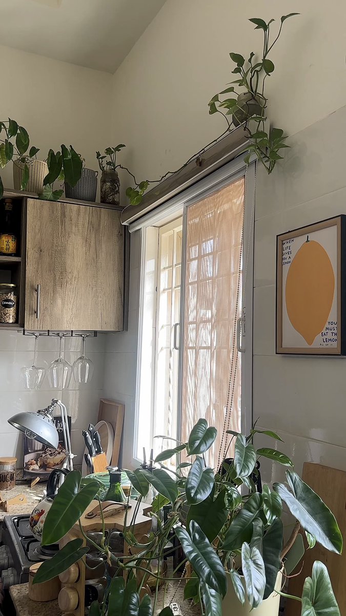 Ene Ijato tweet media