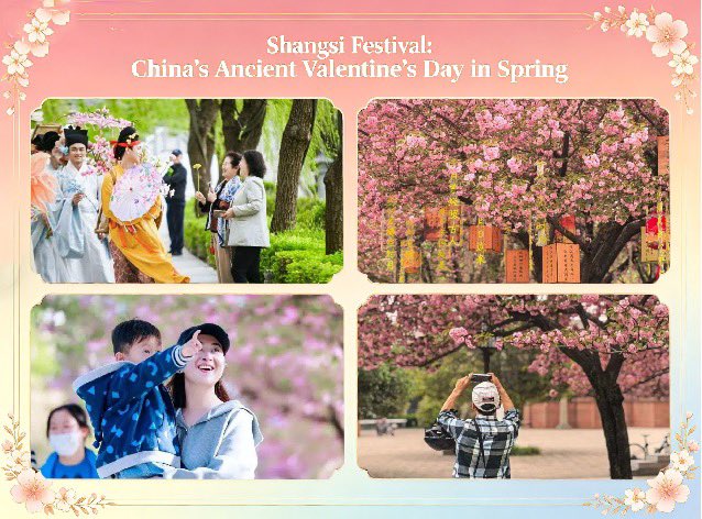 festival195's tweet image. Thousands of Cherry Blossoms Bloom in Qujiang
Every corner of Qujiang is filled with the sweetest spring vibes. This is Xi’an’s most beautiful cherry blossom season.#blossoms #cherry  #spring  #fyp #spring