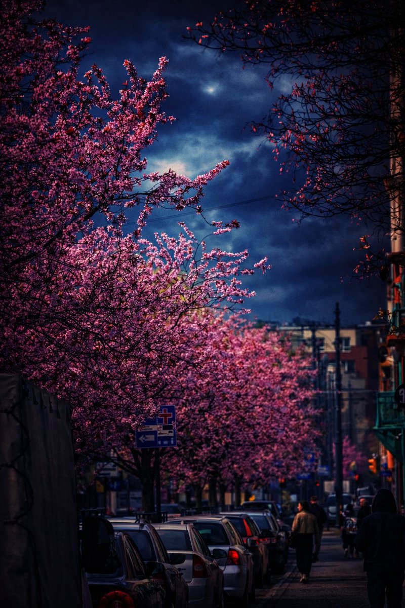 🌗RT Boost🌗 tweet media