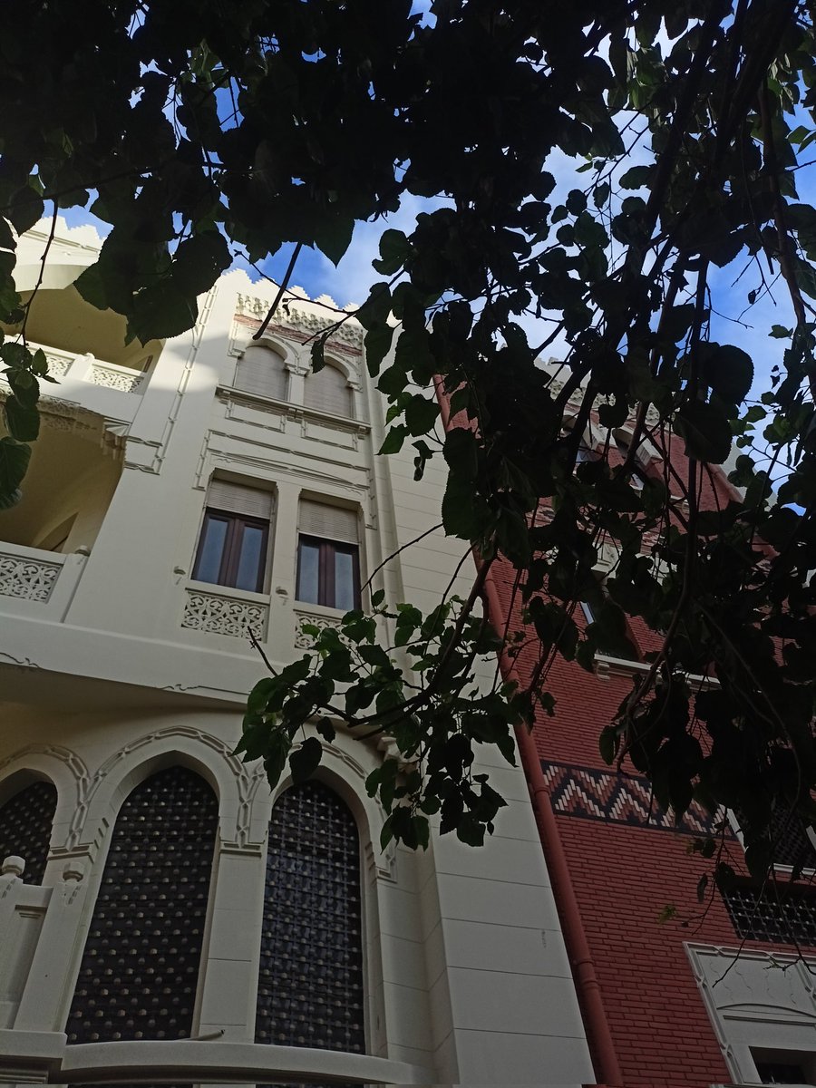 AyaNexus tweet media