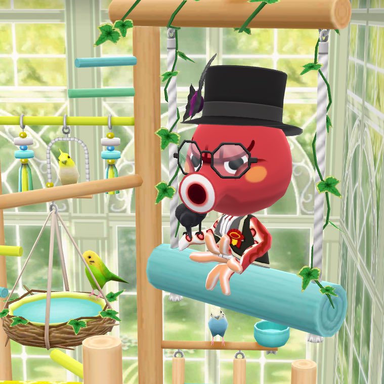 It08ZuhNAAdZTxm's tweet image. アヒルーム②

今日はタコ族に集会所を貸して頂きありがとうございます🐙お
アヒル族の管理する場所なんで会議は立ち合いになりますが🪿

では早速今月のタコ族会議を始めますね🐙お

まずはずっと課題の副代表選出の件ですがそろそろ誰かやって頂ける方いますかね🐙お

皆さ〜ん🐙お

#ポケ森 ＃acpc