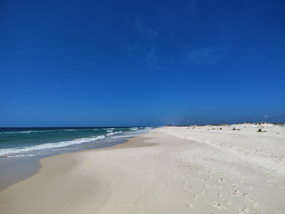 Lifesab5138's tweet image. "Two miles from anywhere"
#PhotographyIsArt #Johnson #beach #GulfIslands
#perdidokey #Florida