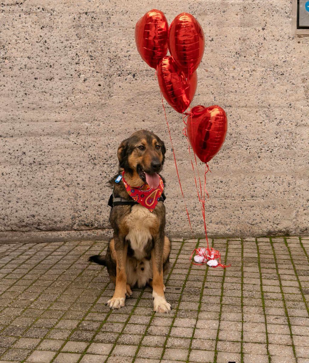 Χλε_Μπονα Σαμερ tweet media