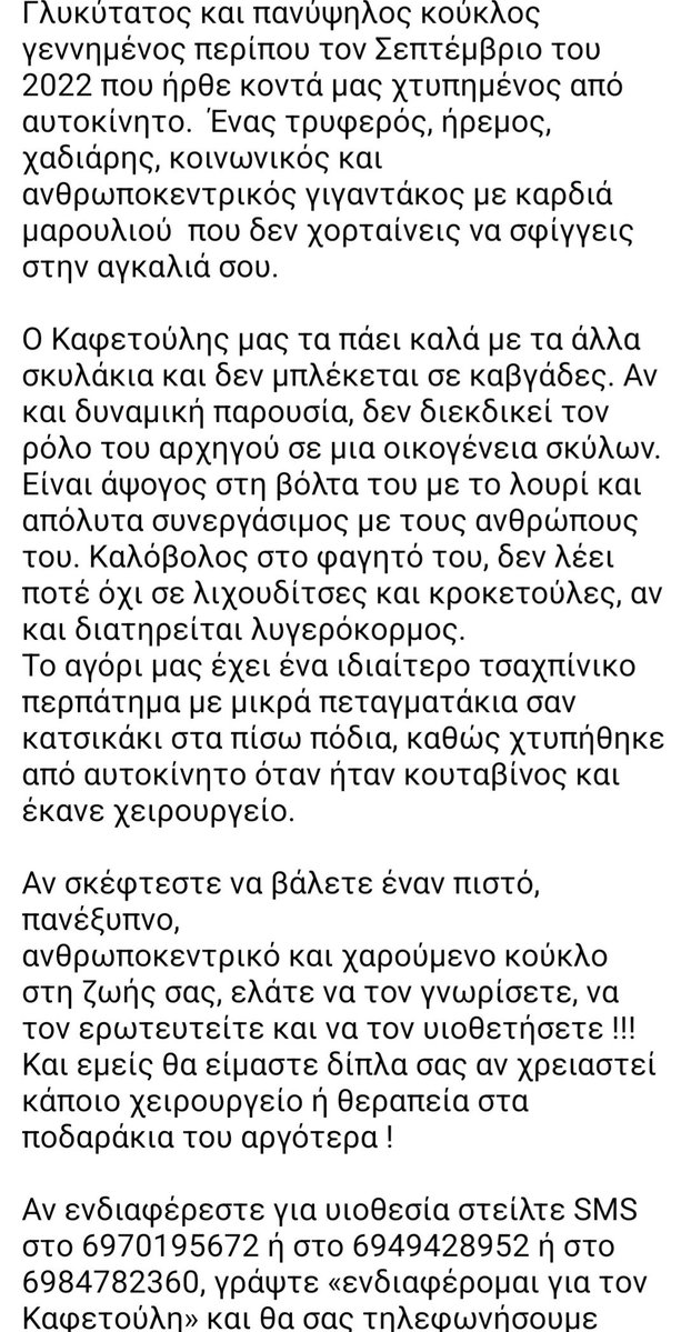 Χλε_Μπονα Σαμερ tweet media