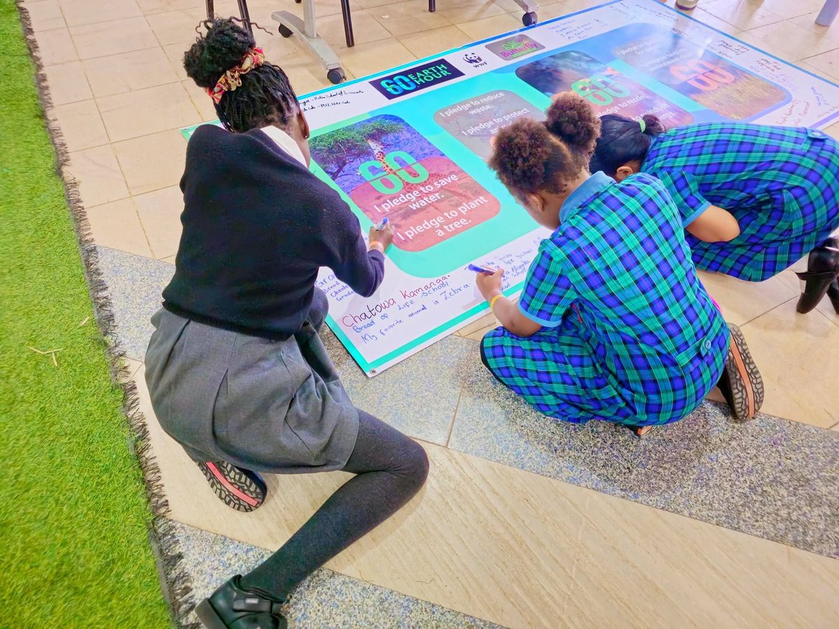 WWF_Africa's tweet photo. 1,200 pupils. 40 schools. One candlelight story time for the planet. 🕯️🌍 

WWF Zambia brought Earth Hour 2026 to life at the Kids Climate Action Fair in Lusaka, inspiring the next generation to take action for nature. 

#EarthHourAfrica #EarthHourZambia #YouthForNature https://t.co/ocGc716meO