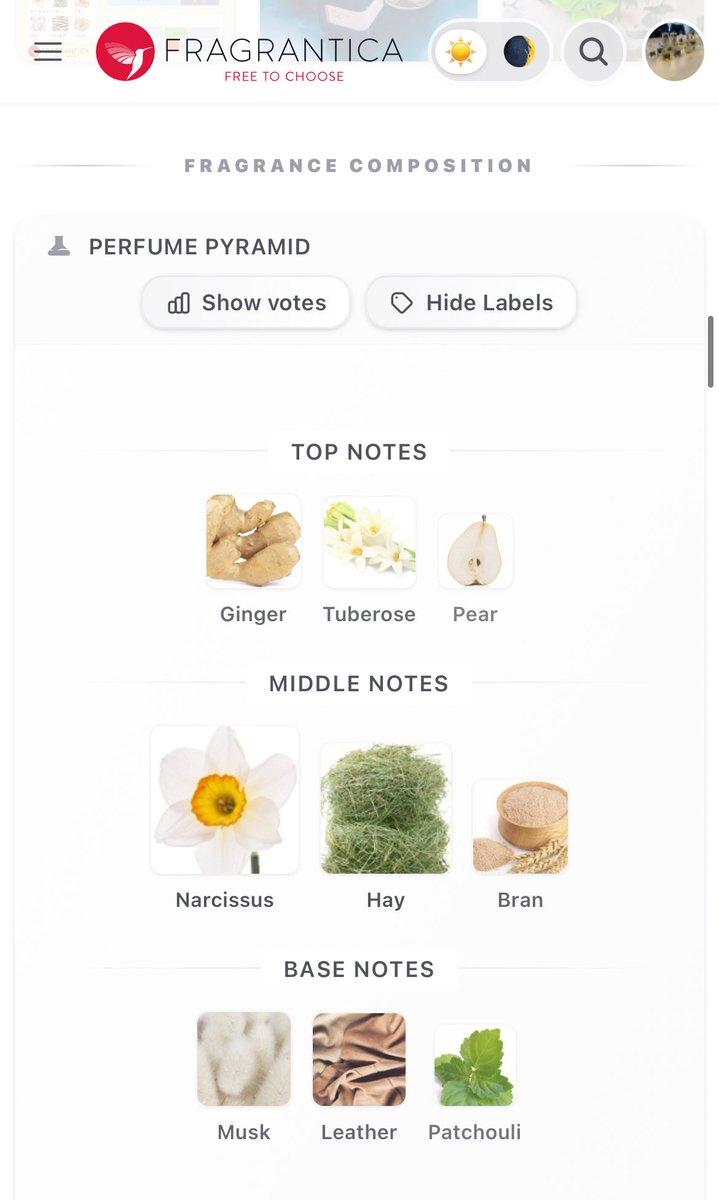 ODK Parfums tweet media