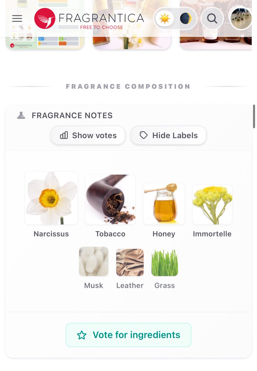 ODK Parfums tweet media