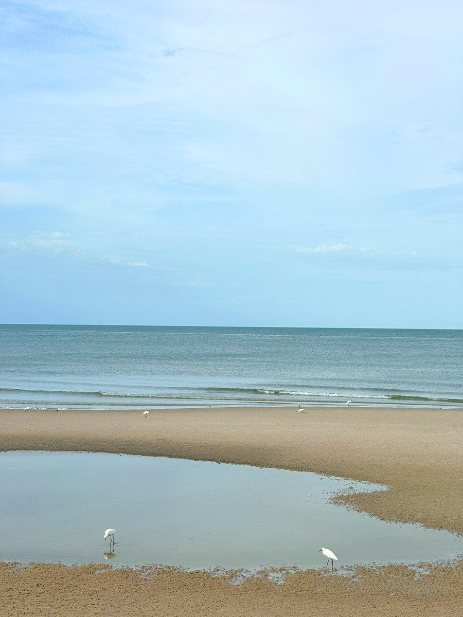 midnight blue tweet media