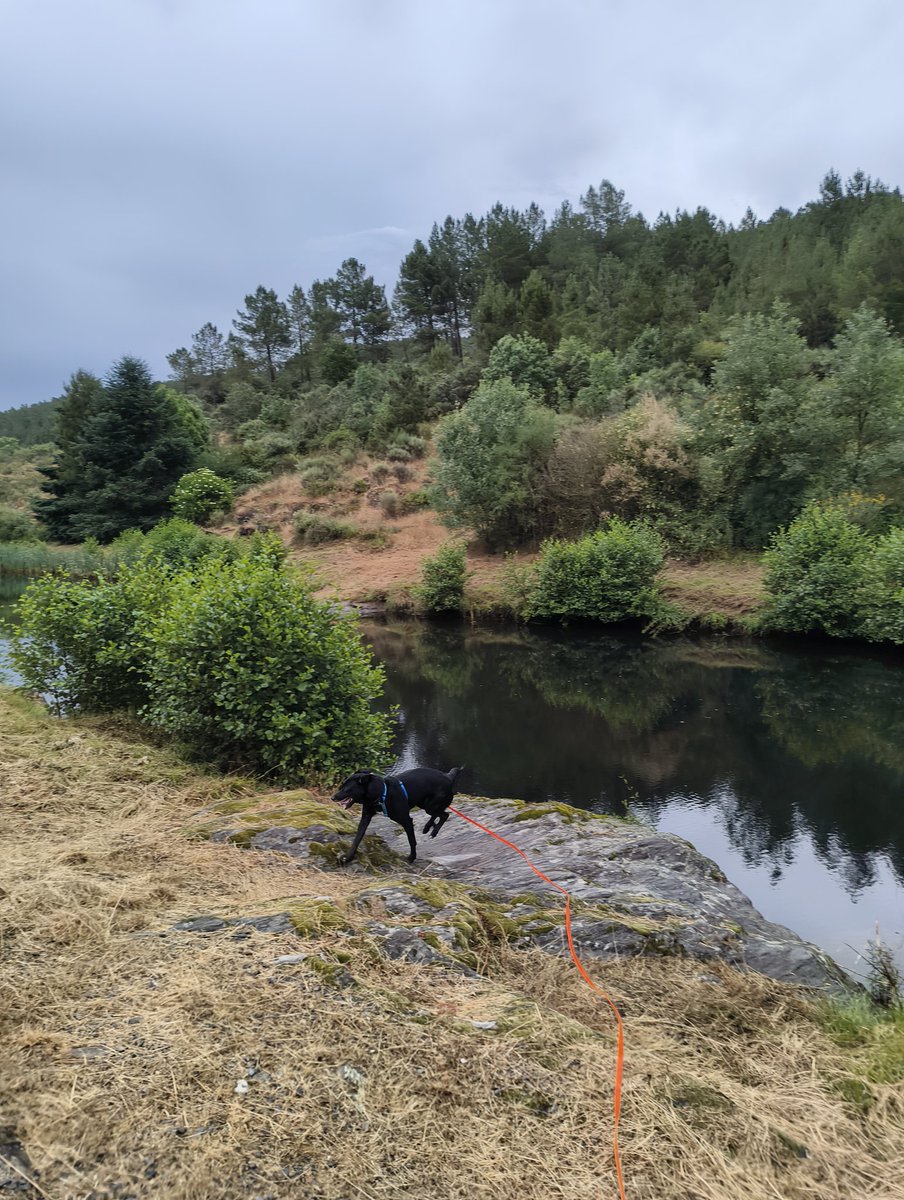 Sónia do norte tweet media