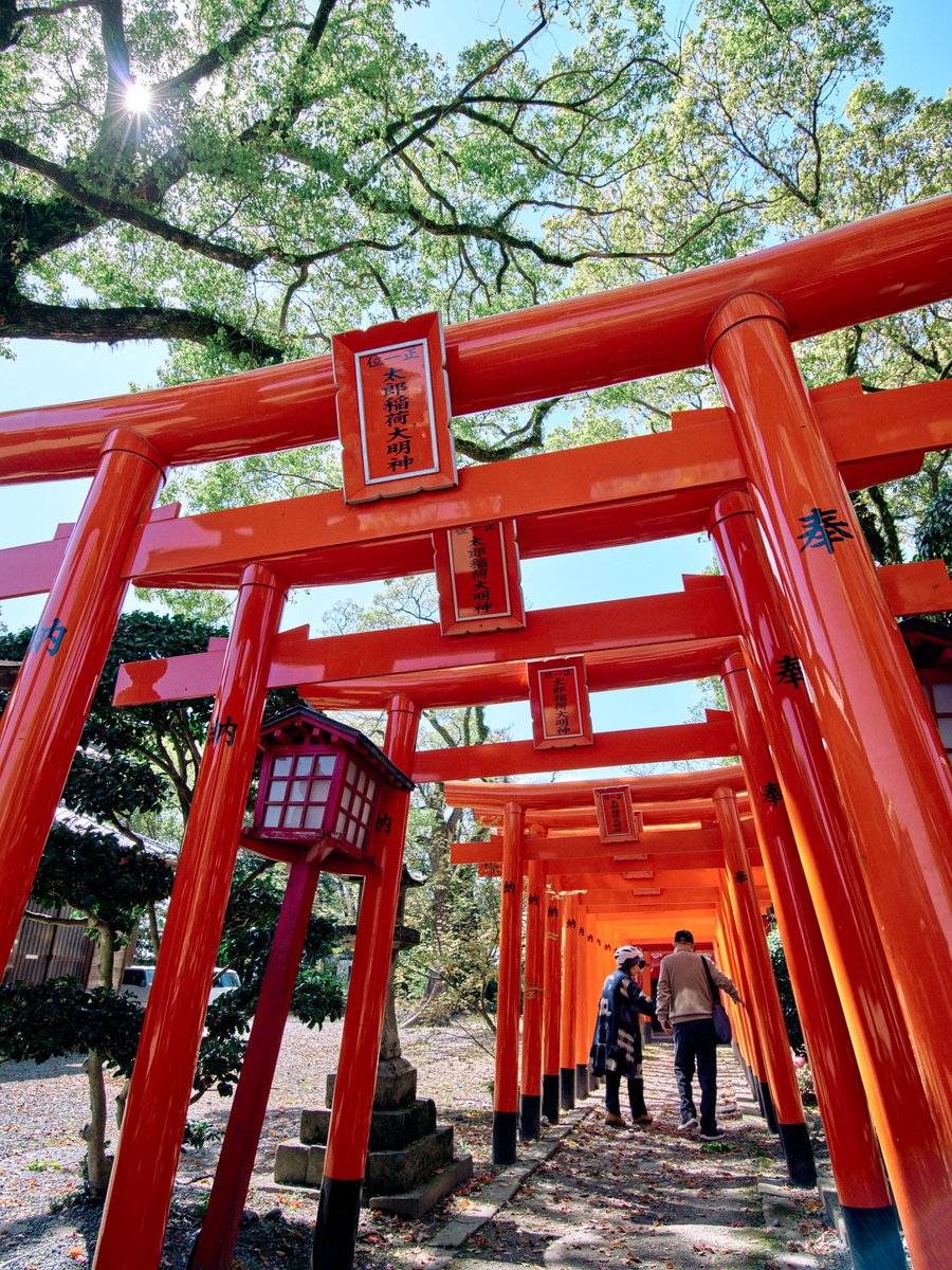 PENTAX_labo's tweet photo. PENTAX 645Z
smc PENTAX-D FA645 25mmF4AL[IF] SDM AW https://t.co/uEmYLzNBU8