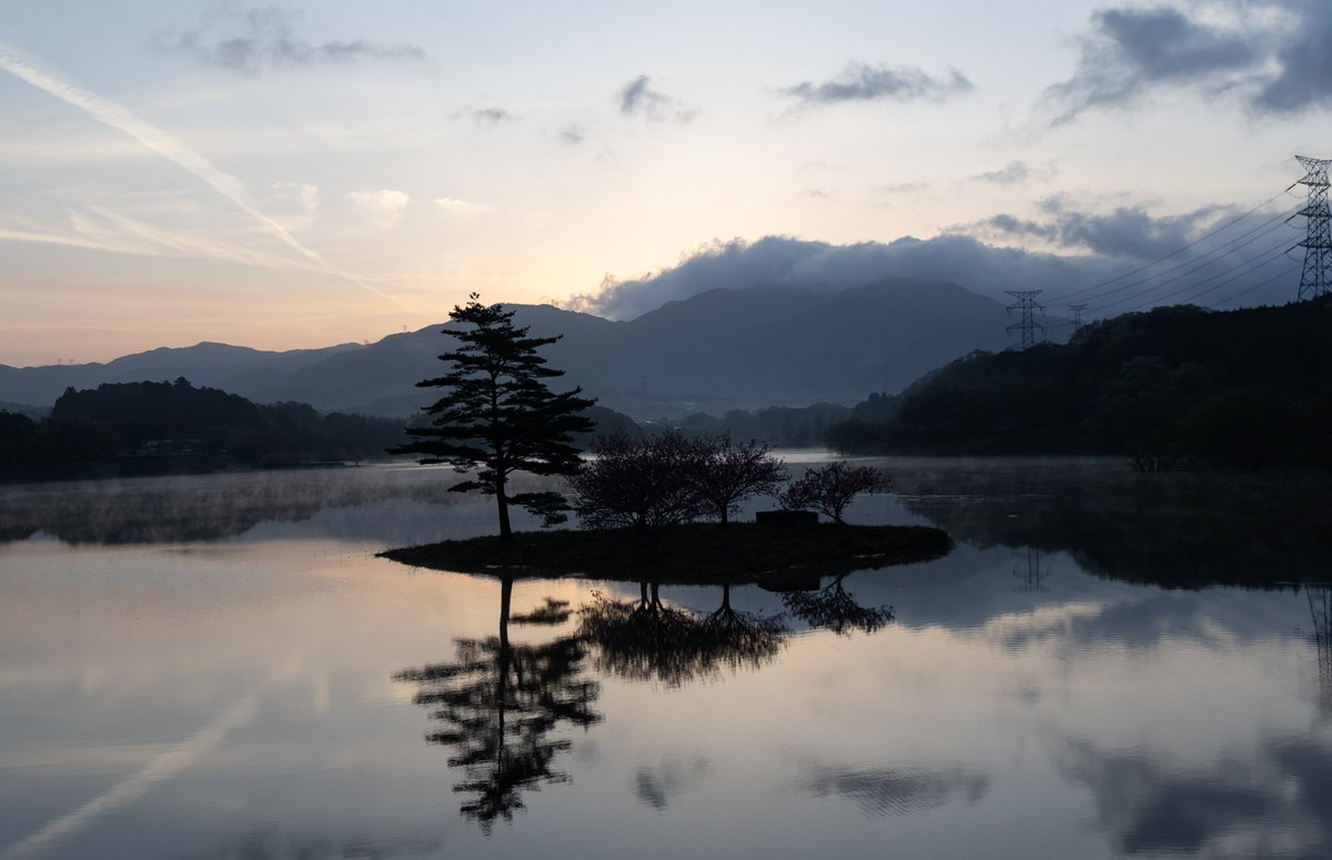 Ri1Non's tweet image. 本日はお試し琵琶一＆八重桜！
旅行等々行けるかお試しで走ってきました😌
最初に朝焼け八重桜リフレクション！
先輩方々の横で撮ってましたが明らかにシャッターきる数5倍だな😂
数打ちゃ当たる🤣
その後はメタセコイア並木！
一ヶ月ぶりのバイク...
正直楽しすぎました✨

#BOLT
#ツーリング
#桜
