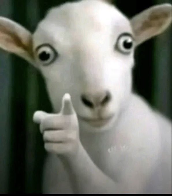 𝕿𝖍𝖊𝕽𝖊𝖆𝖑.𝓩𝖊𝖊🌴🫥 tweet media