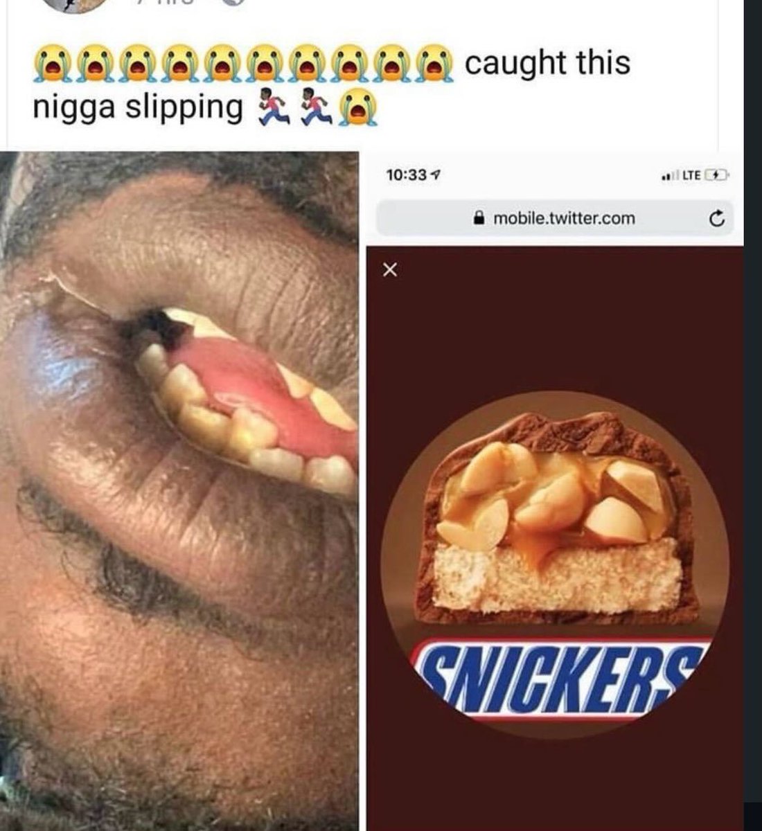 Braindead Bird App (@tragicbirdapp) on Twitter photo 