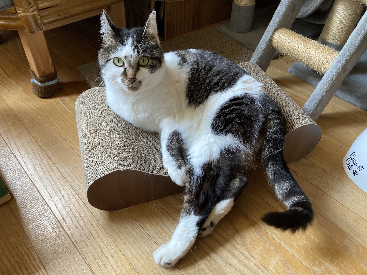 ジュン tweet media